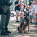 Do police dogs get paid? A Police dog with policemen and children in the background.